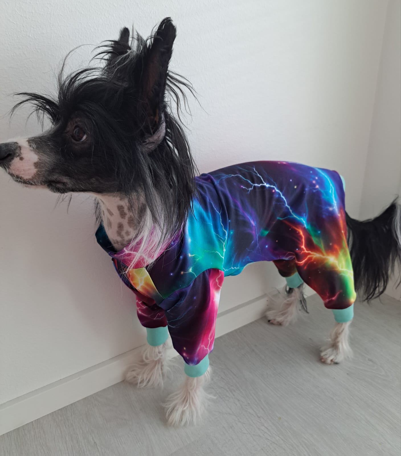 Trikoopuku värikäs